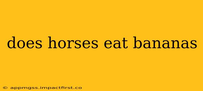 does horses eat bananas
