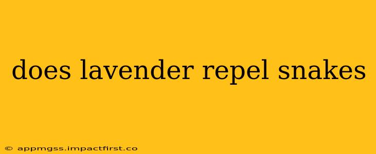 does lavender repel snakes
