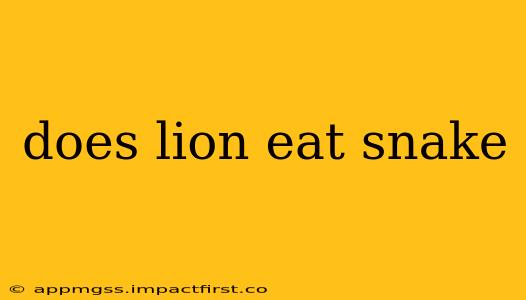 does lion eat snake