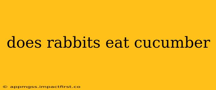 does rabbits eat cucumber