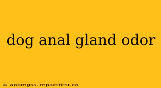 dog anal gland odor