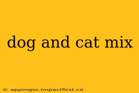 dog and cat mix