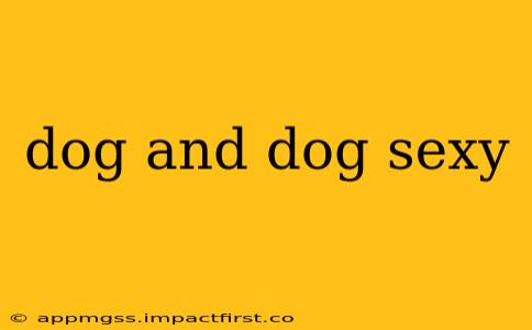 dog and dog sexy