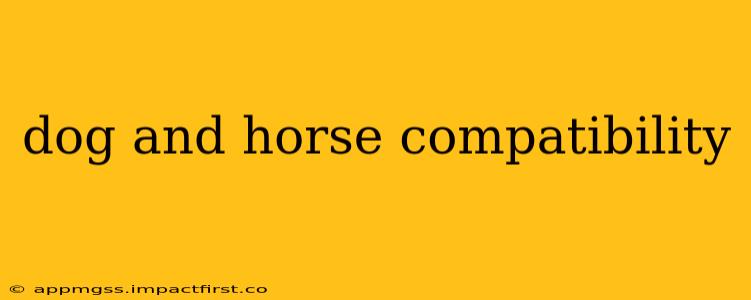 dog and horse compatibility