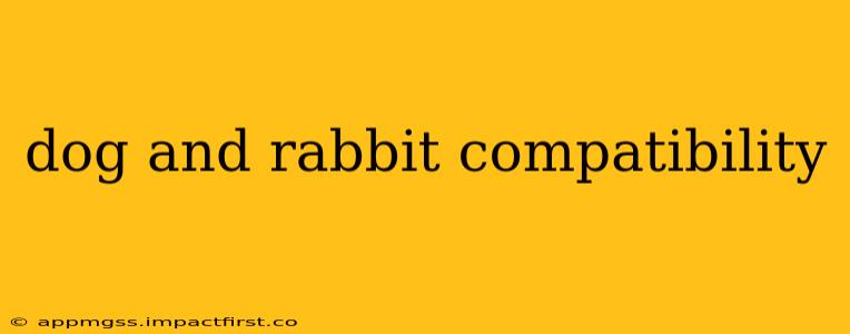 dog and rabbit compatibility