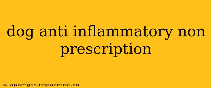 dog anti inflammatory non prescription