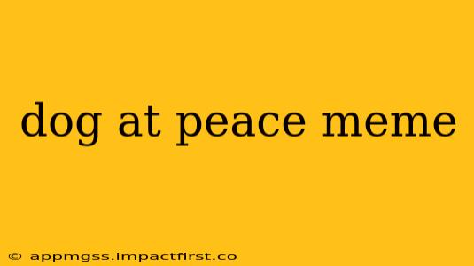 dog at peace meme