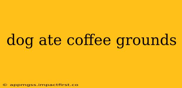 dog ate coffee grounds