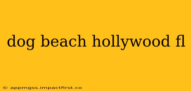 dog beach hollywood fl