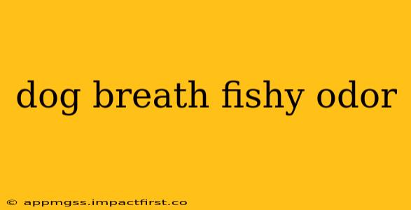 dog breath fishy odor