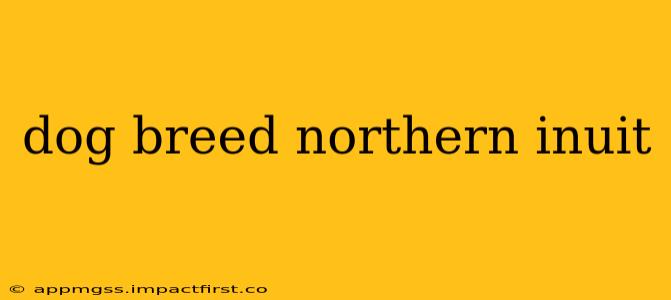 dog breed northern inuit