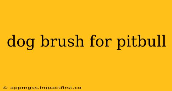 dog brush for pitbull