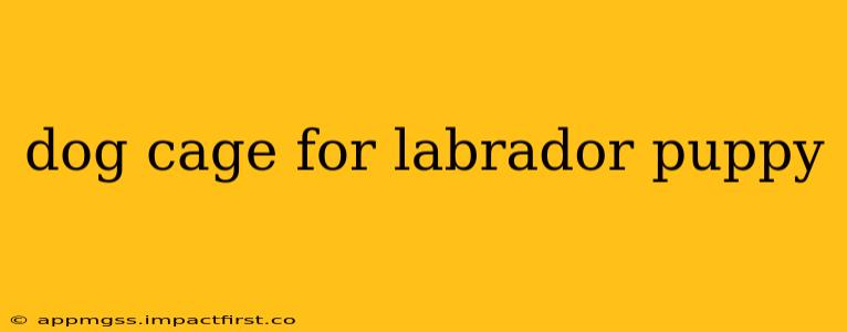 dog cage for labrador puppy