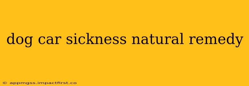 dog car sickness natural remedy
