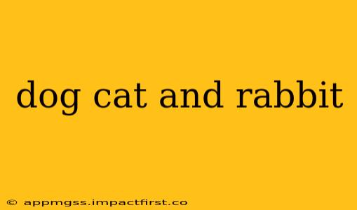 dog cat and rabbit