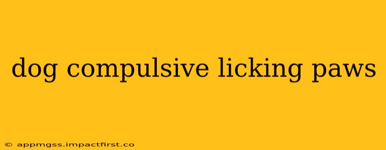 dog compulsive licking paws