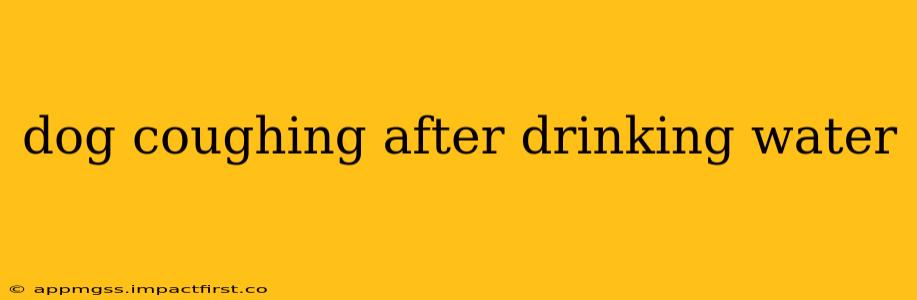 dog coughing after drinking water