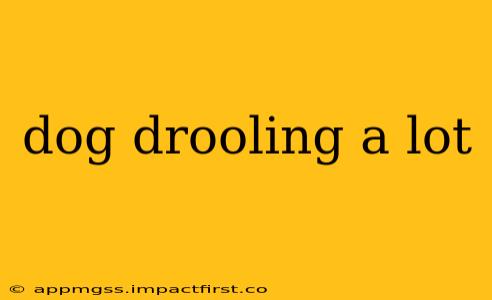 dog drooling a lot