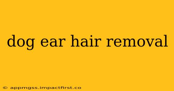 dog ear hair removal