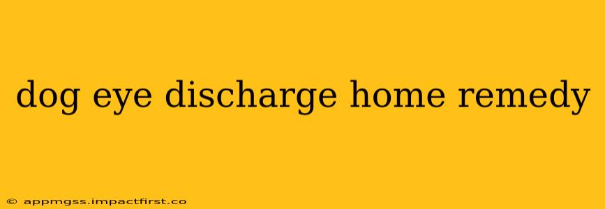 dog eye discharge home remedy