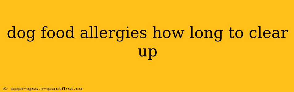 dog food allergies how long to clear up