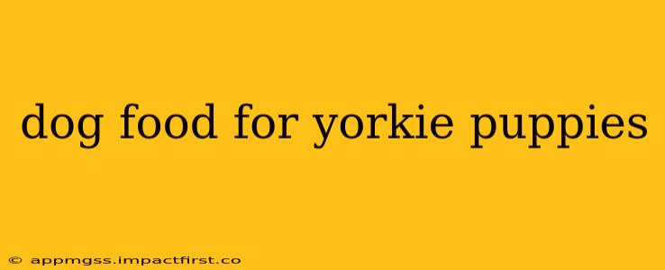 dog food for yorkie puppies