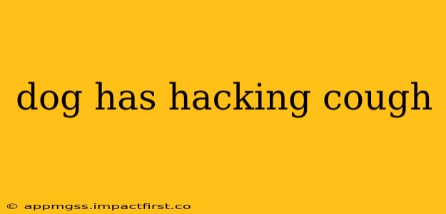 dog has hacking cough