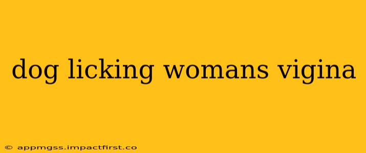 dog licking womans vigina