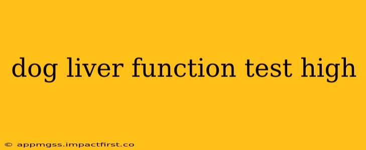 dog liver function test high