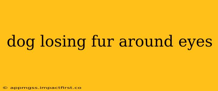 dog losing fur around eyes