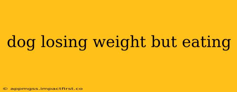 dog losing weight but eating