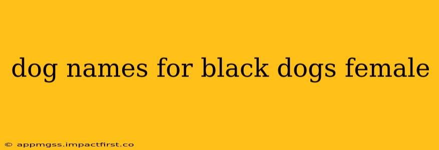 dog names for black dogs female