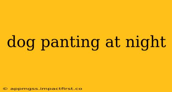 dog panting at night