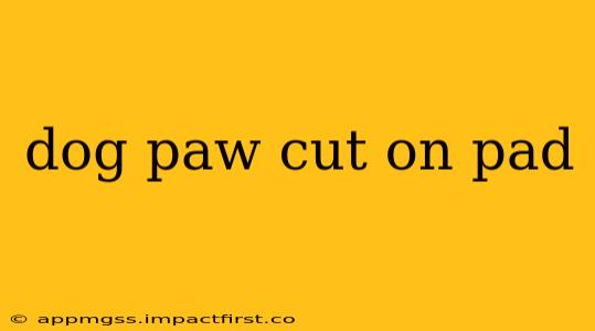 dog paw cut on pad