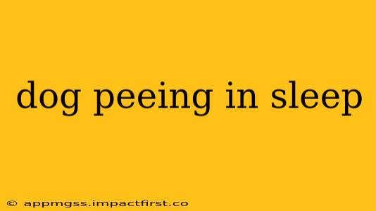 dog peeing in sleep