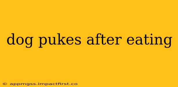 dog pukes after eating