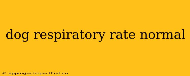 dog respiratory rate normal