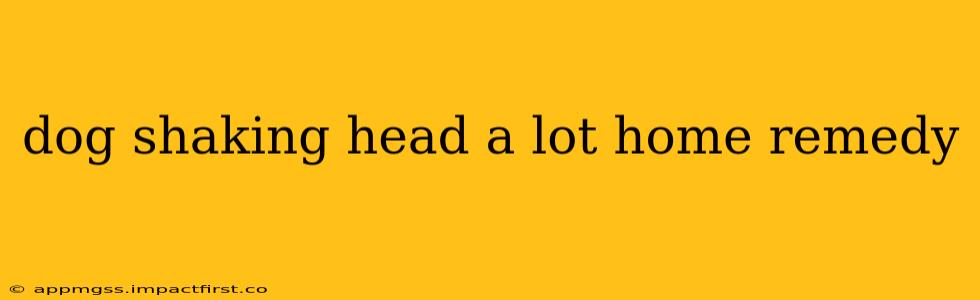 dog shaking head a lot home remedy