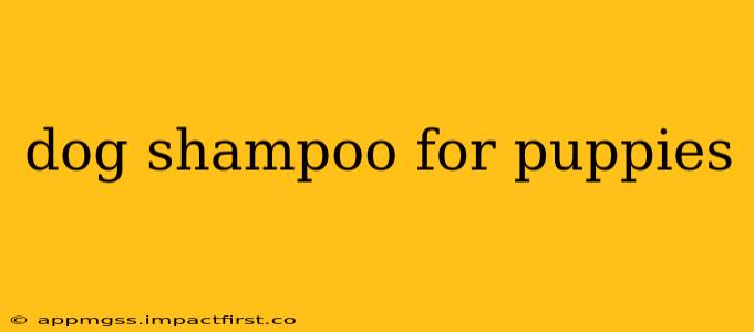 dog shampoo for puppies