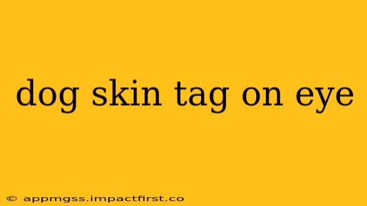 dog skin tag on eye