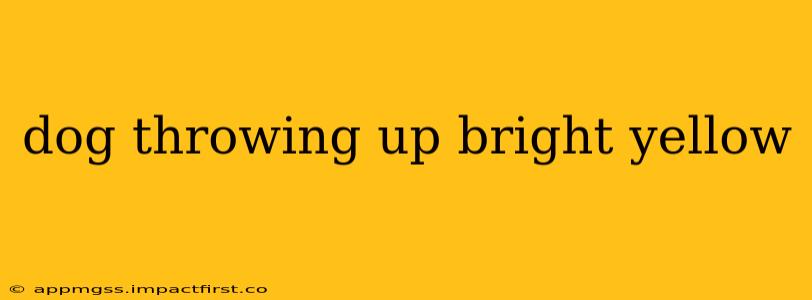dog throwing up bright yellow