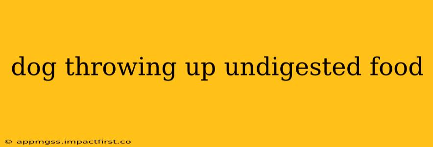dog throwing up undigested food