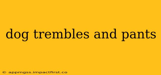 dog trembles and pants
