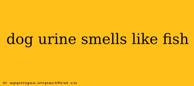 dog urine smells like fish