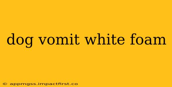 dog vomit white foam