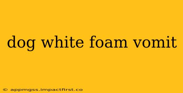 dog white foam vomit