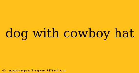 dog with cowboy hat
