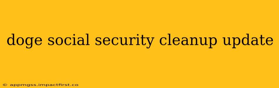 doge social security cleanup update