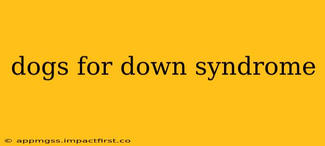 dogs for down syndrome