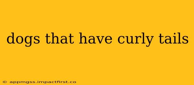 dogs that have curly tails